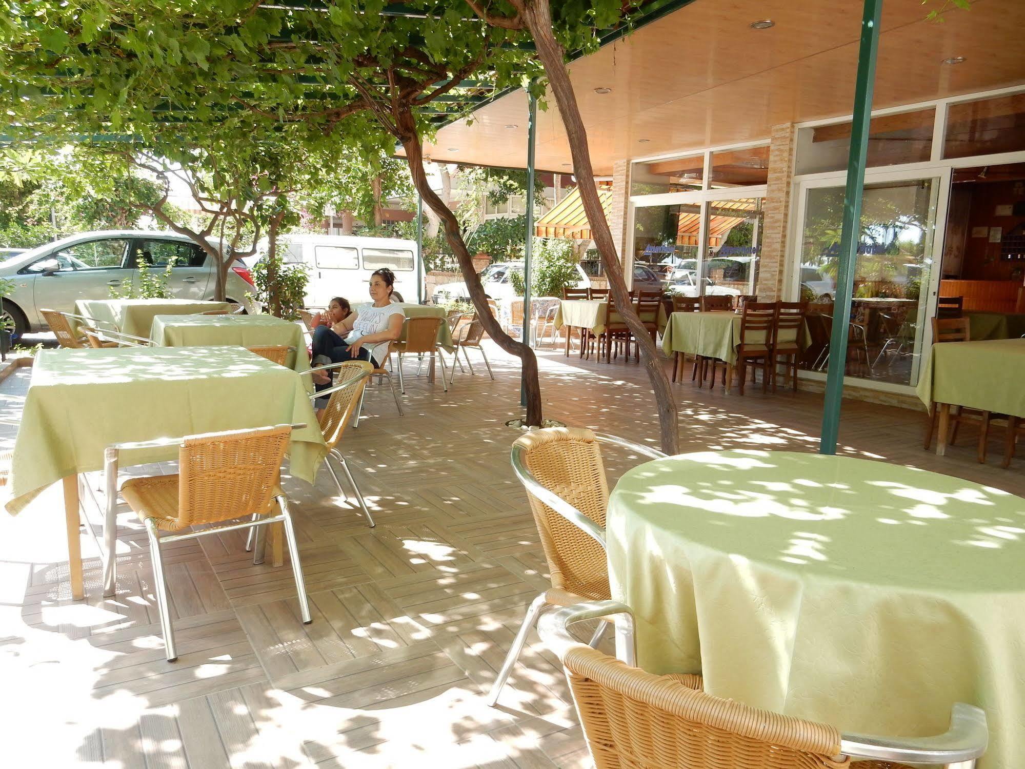 אלאניה Aysev Hotel מראה חיצוני תמונה